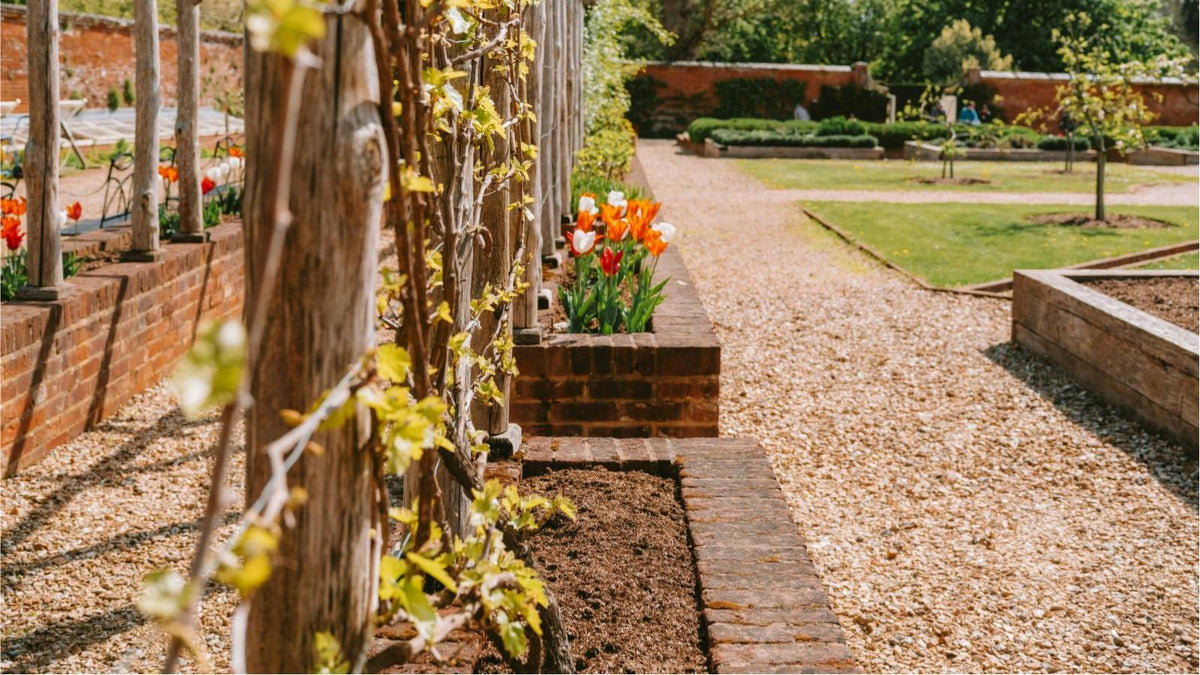 Pea gravel landscaping shown for a rock glue application guide.
