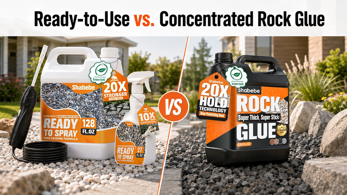 Comparison of ready-to-use and concentrated Shabebe Rock Glue.