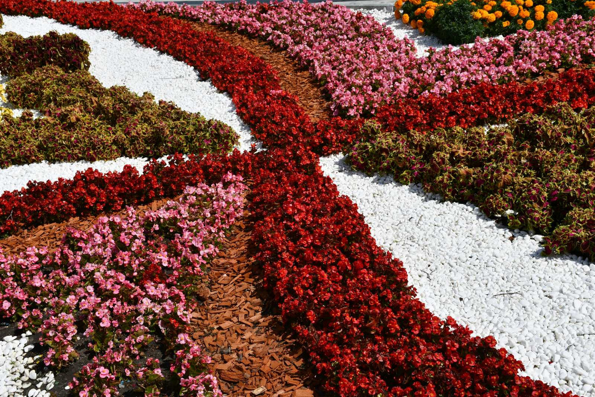 Landscaped garden bed with mulch and decorative gravel.