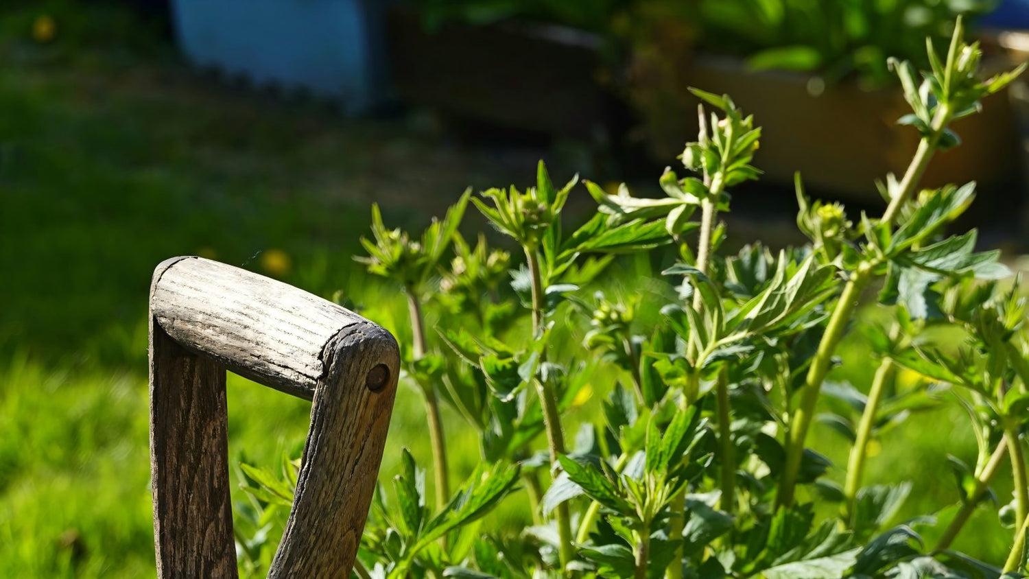 Why Water-Based Mulch Glue Is the Right Choice for Your Yard